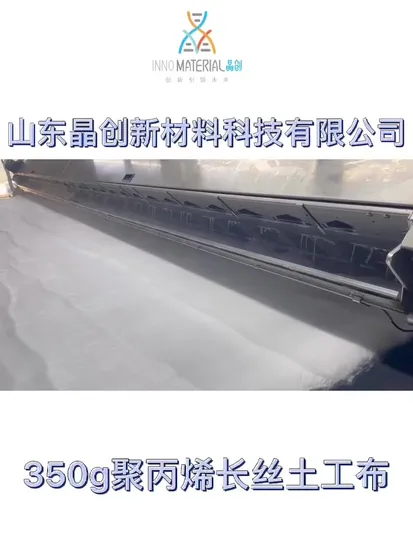 1-6,5 m 80-1000 g geotessile Prodotti geosintetici Polyfelt Ts con filamento continuo di alta qualità